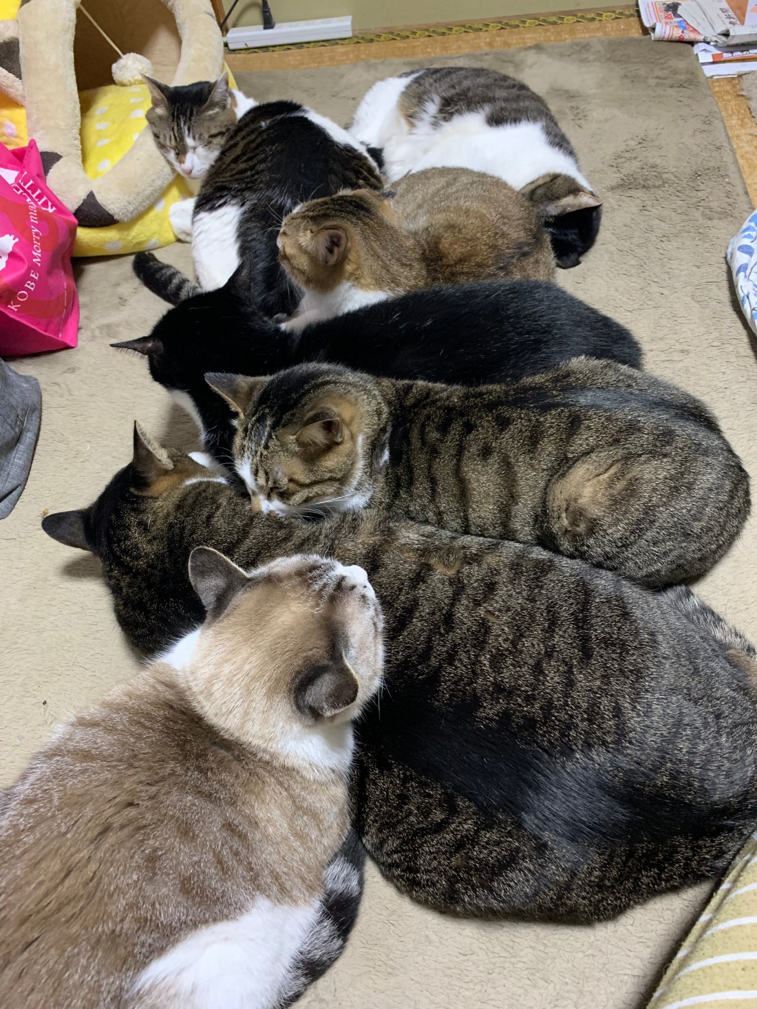 1AC9B253-35EF-441B-82FC-7041653116C0