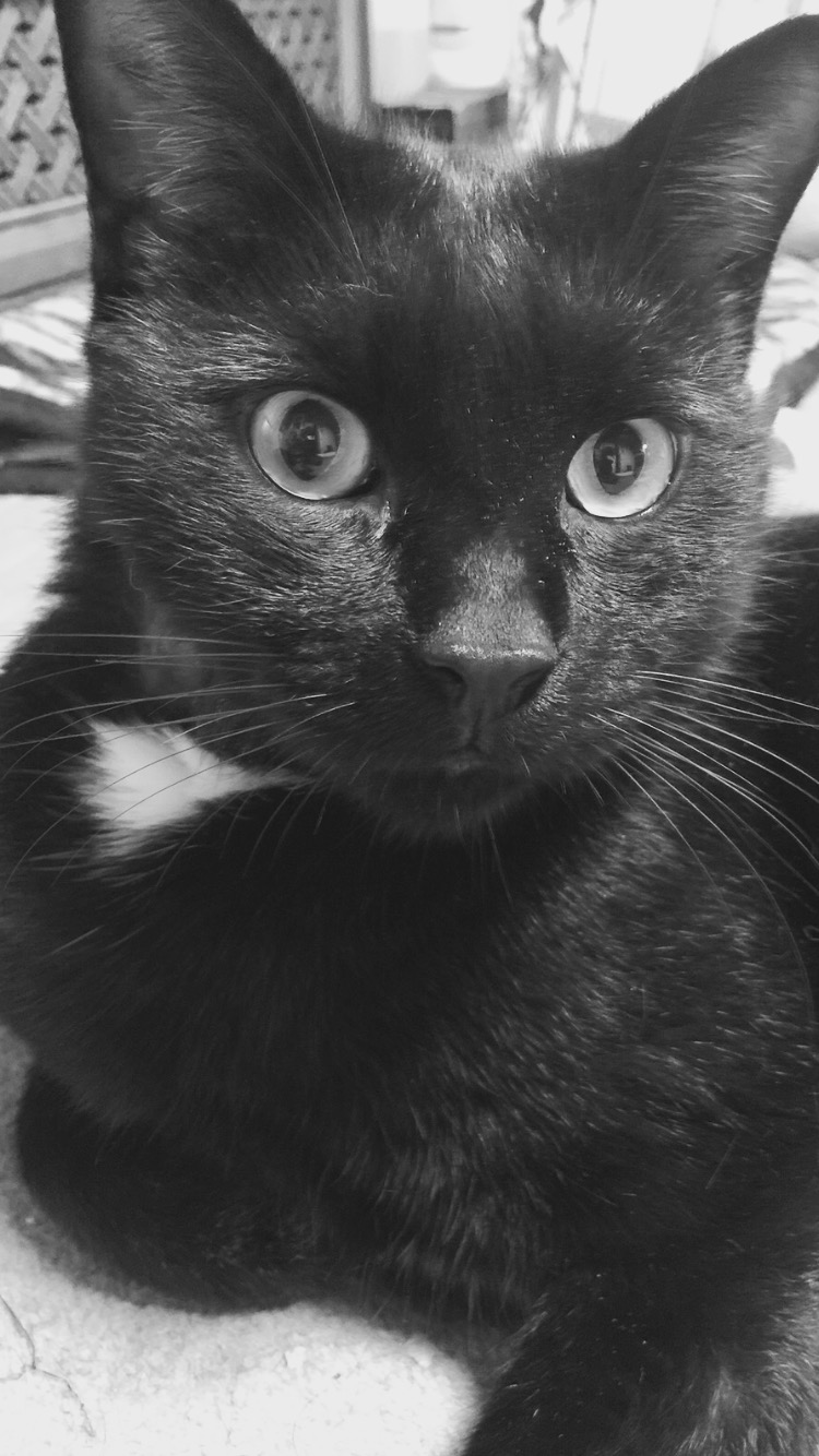 f554a388-591f-4011-8bfd-f3487aa6a7a9