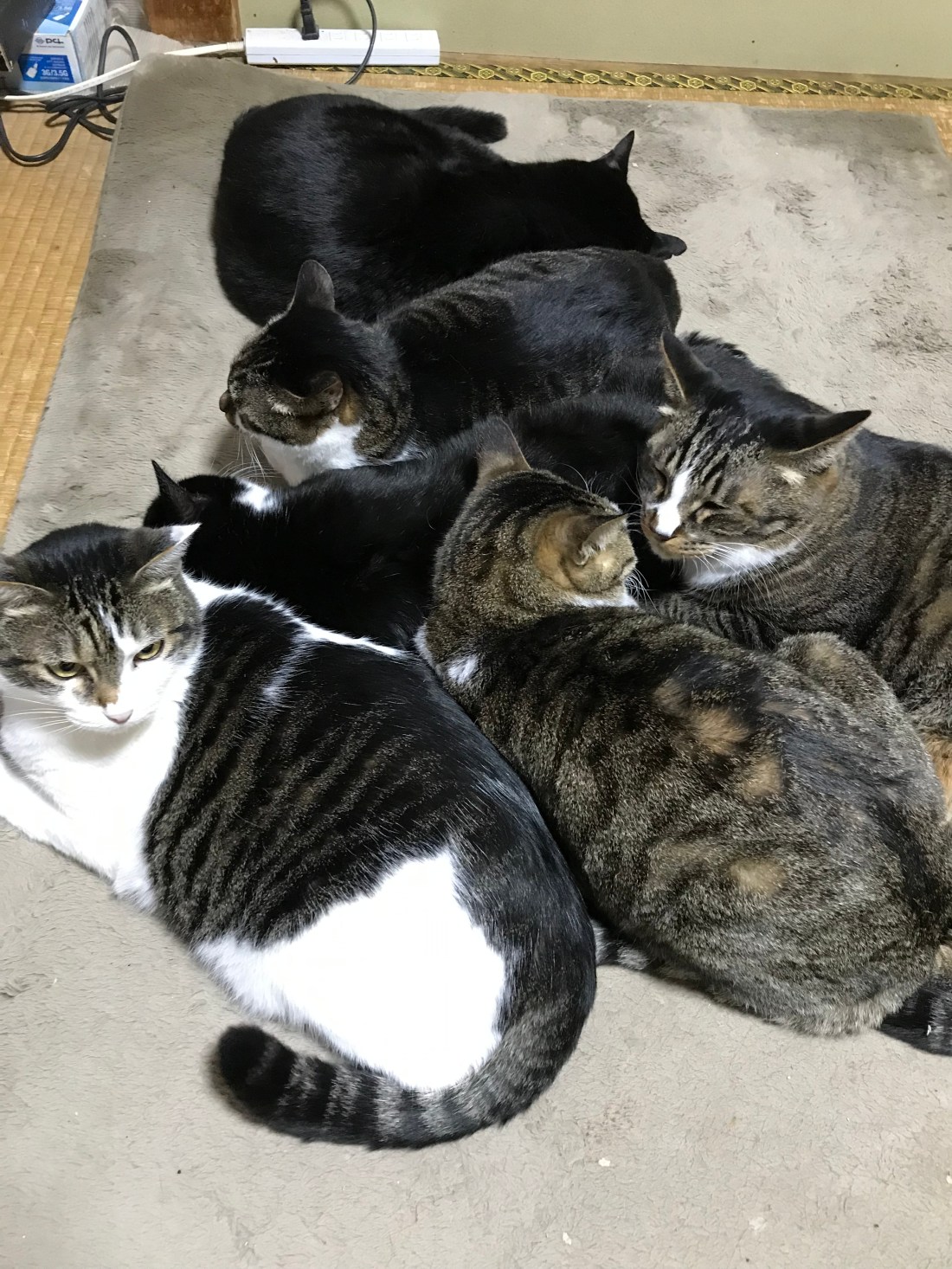 7B6D15A3-BBA3-4C0F-A84A-8F01CB914AF5