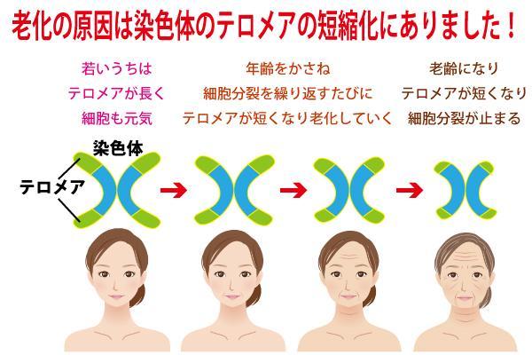 9D17B0E5-D703-4631-831C-7C7D838FD76F