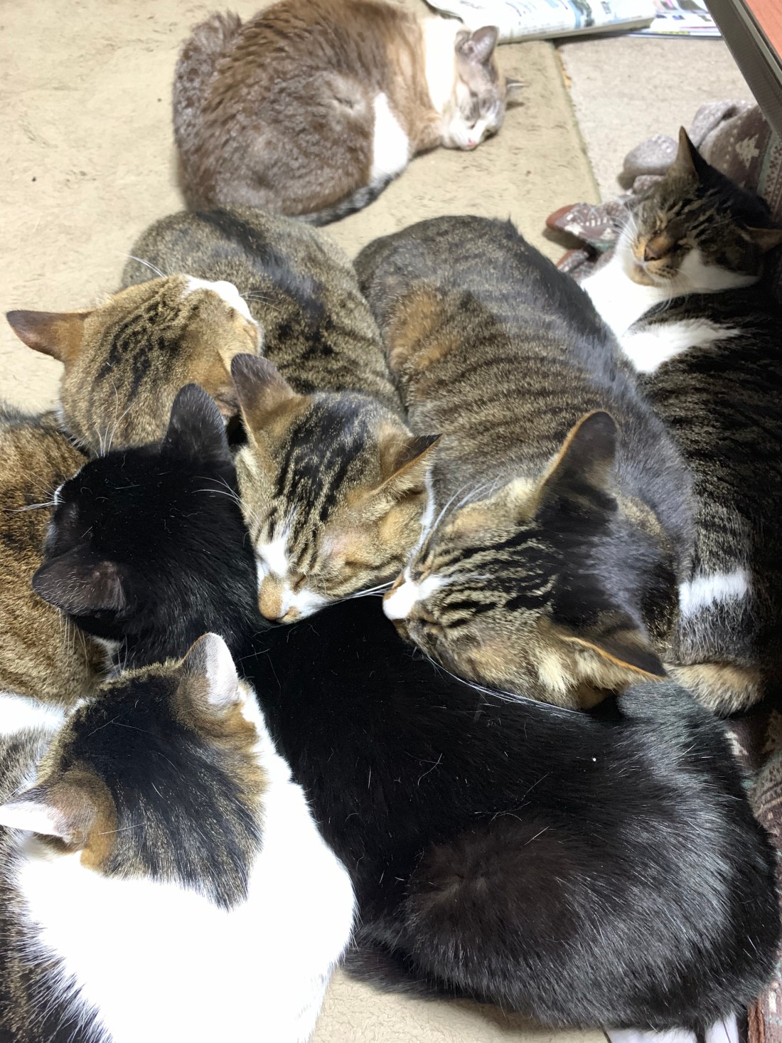 F9644EA3-E3E9-4955-9913-5D277519124A