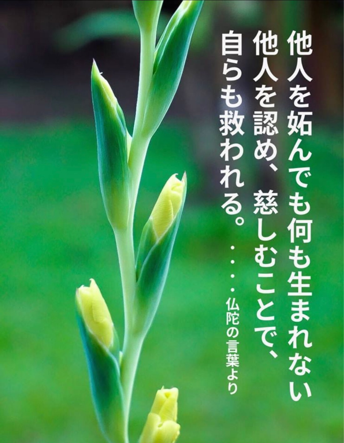 12D009C8-816E-483B-915F-846B8116A6A0