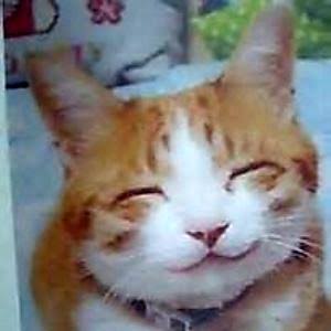 BC11FA4D-1CA2-4DDF-BC33-33C99865A8D2