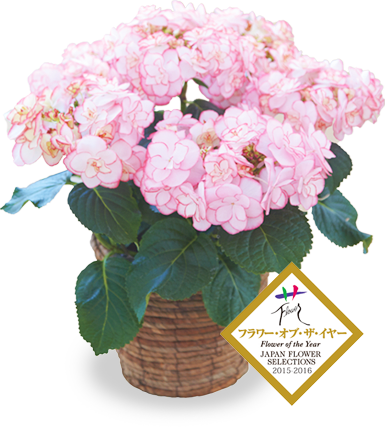 EFAD578D-E905-4F1C-A123-6A3C8B6DAFDE