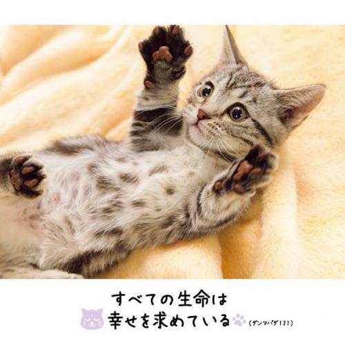 CC850936-8482-4B32-89BF-FA6F311528DE