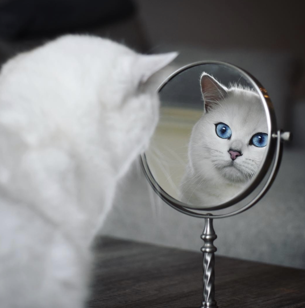 BA36A876-A722-4E15-882D-D2D9A96731AC