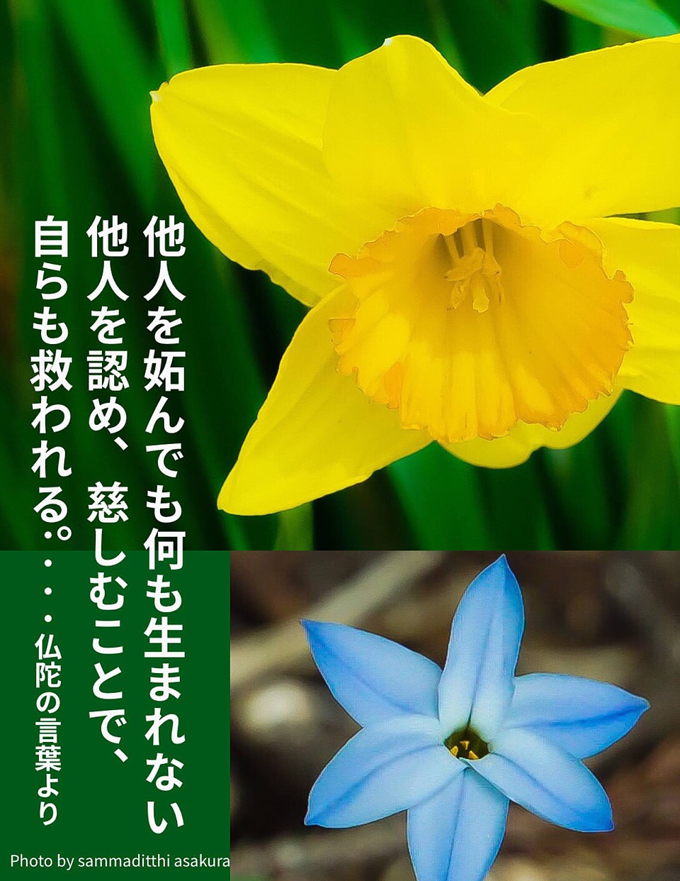 C1FDD259-3B30-4DF9-A94D-900E24D51D86