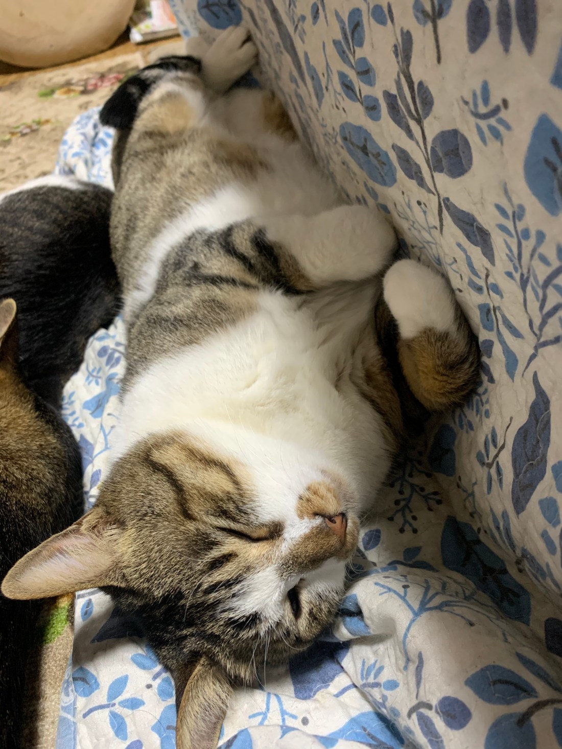 0184FD56-7249-4B72-B84A-879D414598B6