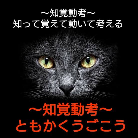 837B5CCD-42F8-4C3E-ABD7-CD2E02870B56