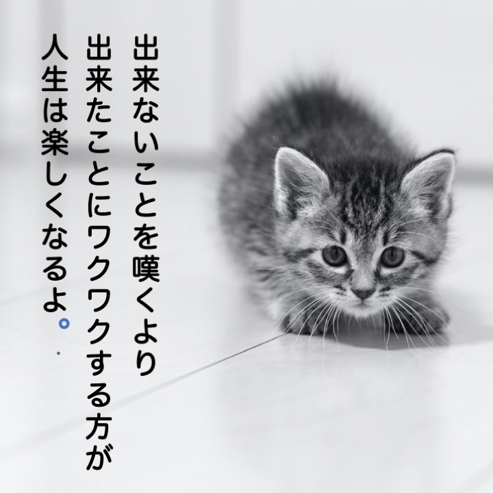 98446547-AE13-4D80-A400-6EB056DC6D7A