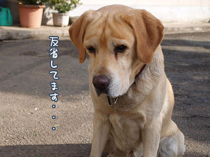 C0EB8114-0BFD-4BD6-8E9C-0F21F84FF225