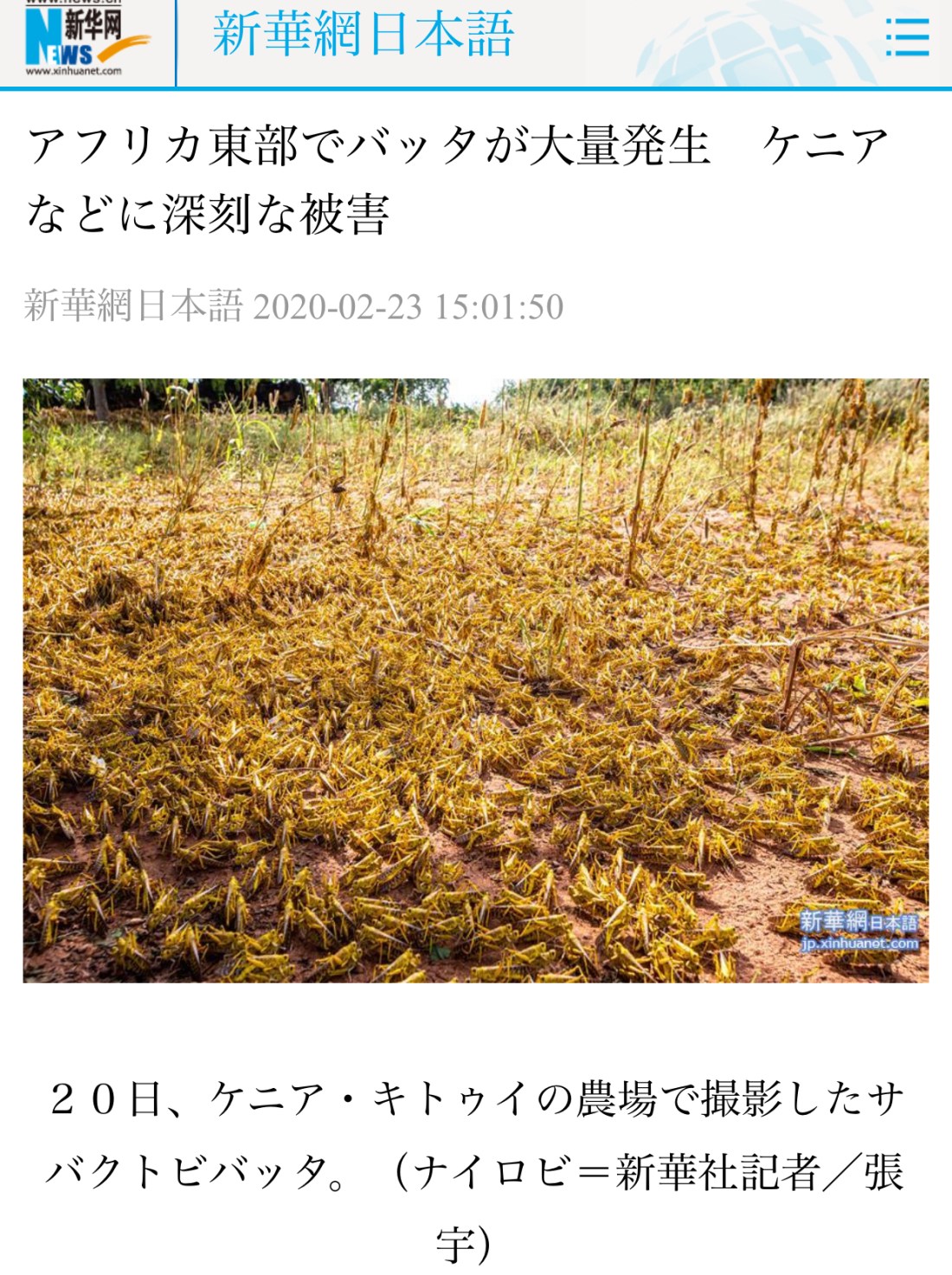 02C2EB92-3901-4185-AA4C-785369BDAD40