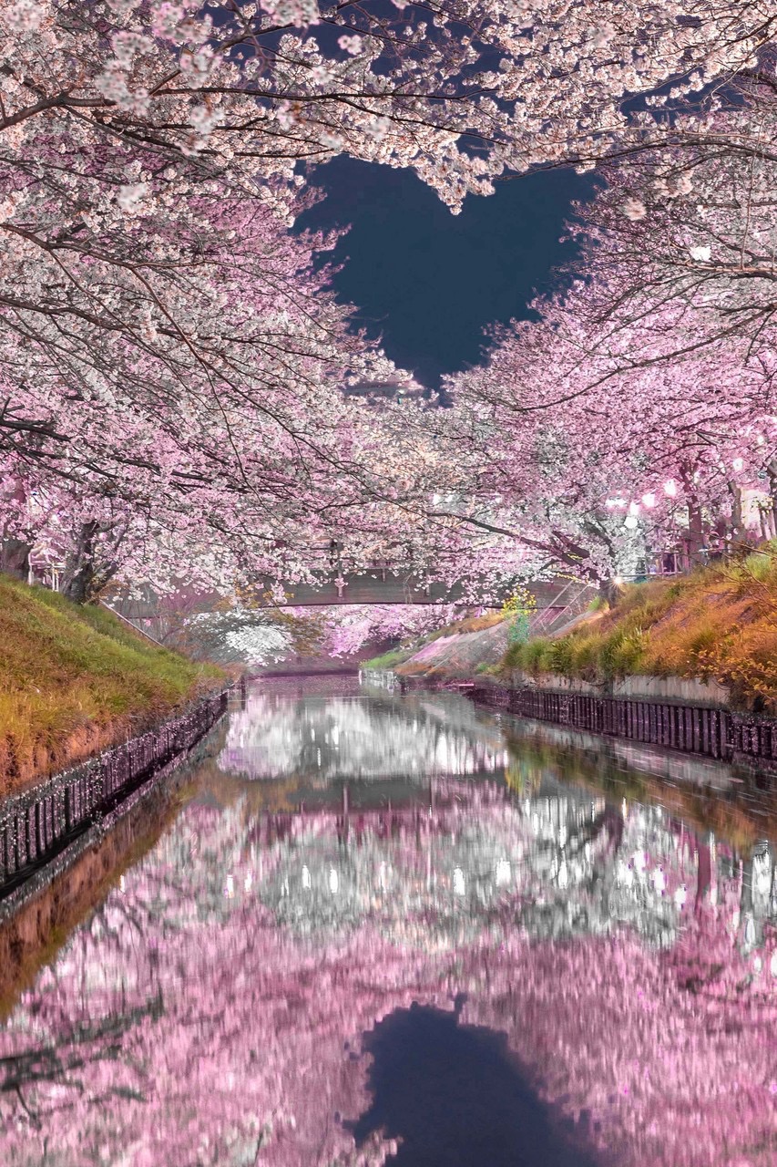 05F639B5-EB39-4216-B707-8186A4AE1C0B