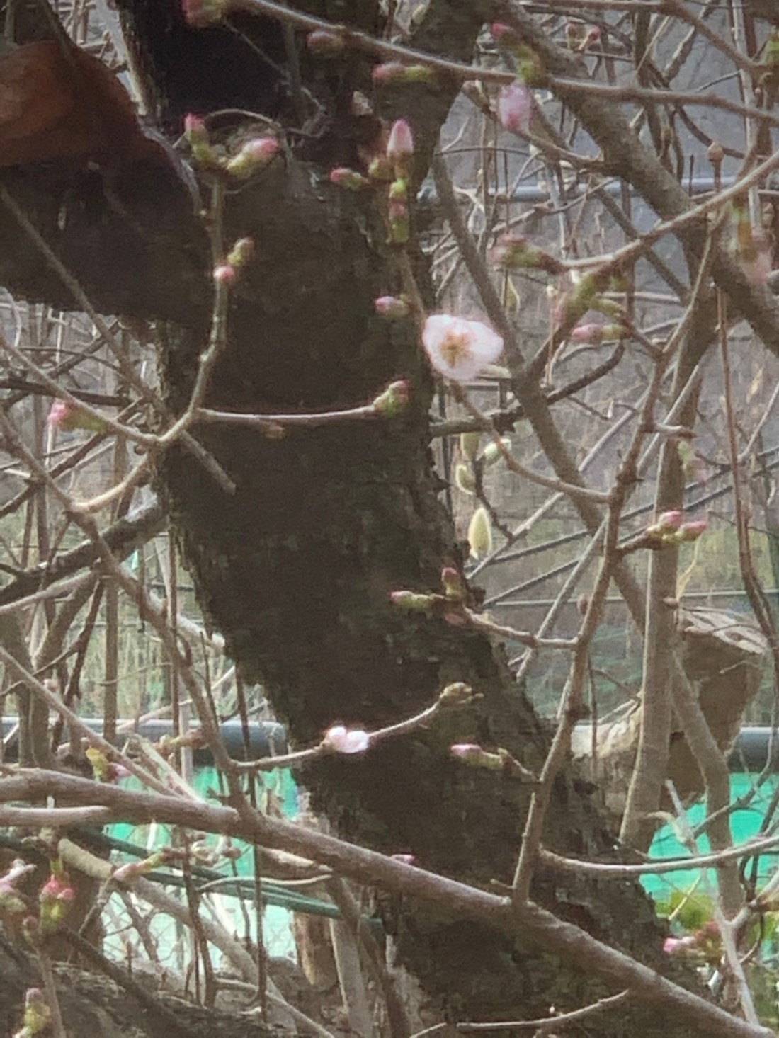 23B138EE-D352-427B-A0F2-F495E283A4CE