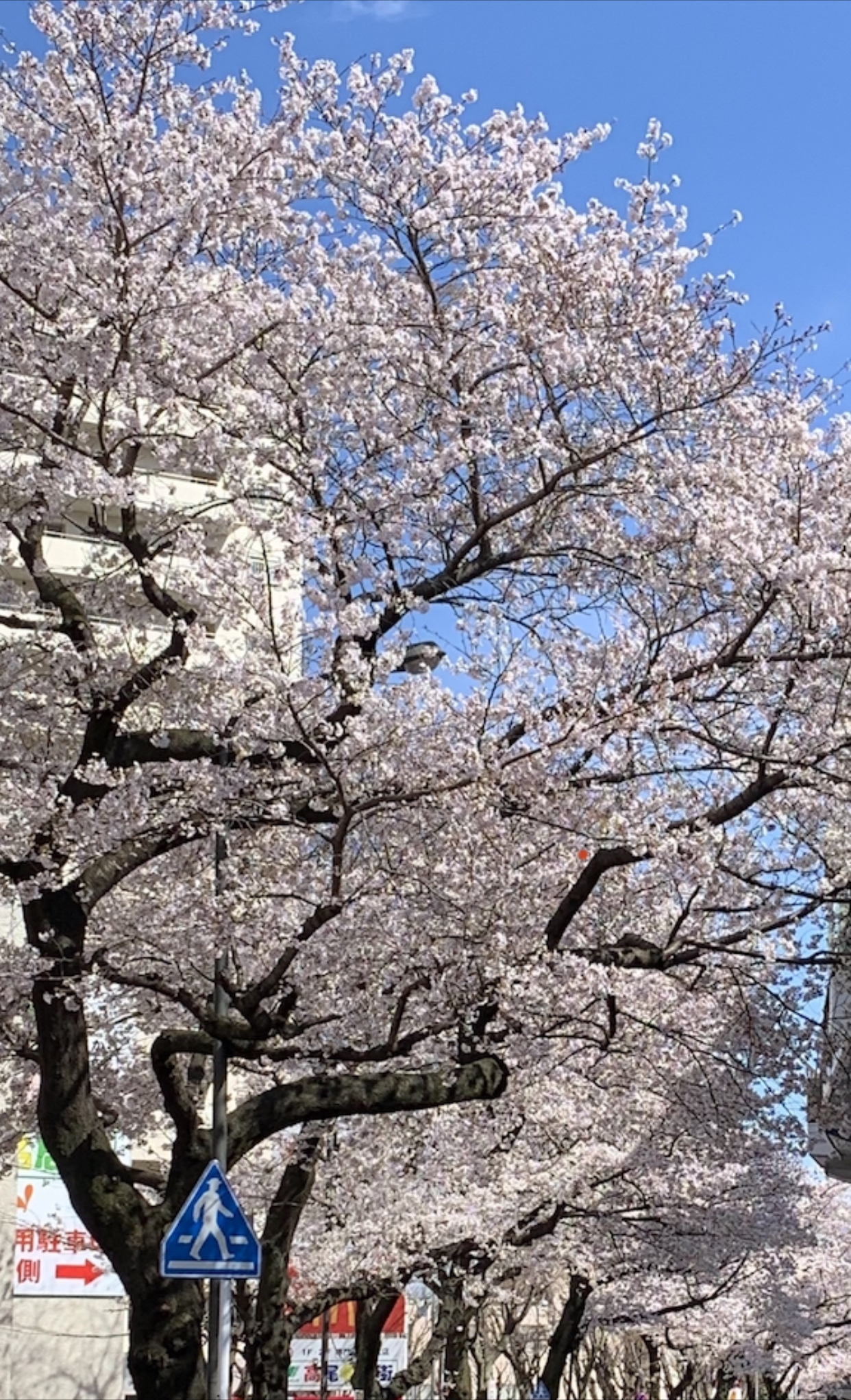 945C4662-2EEF-4E7C-98D5-E9884A562813