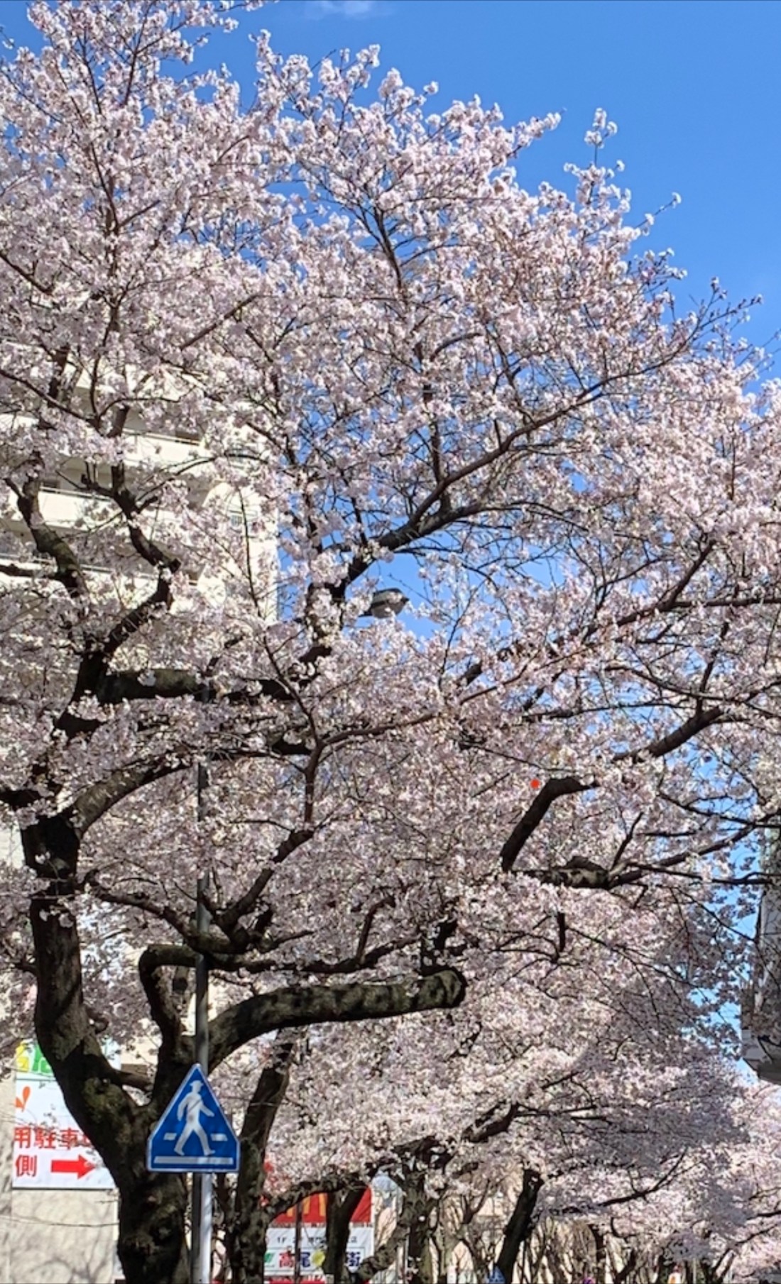 945C4662-2EEF-4E7C-98D5-E9884A562813