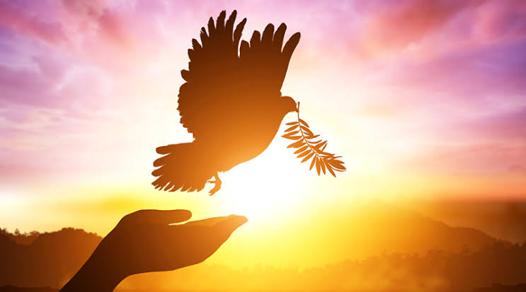 BCF5B2A1-E187-4140-AA7F-42053656E6BB