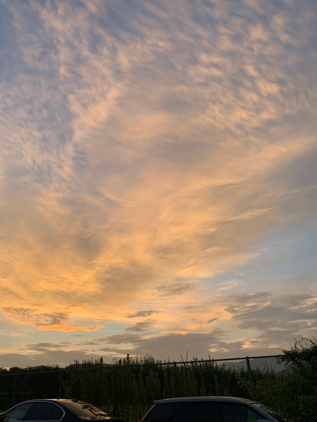 1DAD7873-4619-46F8-895E-0E0420B01D1B