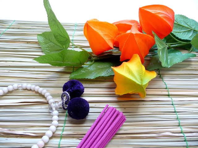 1E8BB0BD-3AC6-42EB-B7E4-53A027056CC3