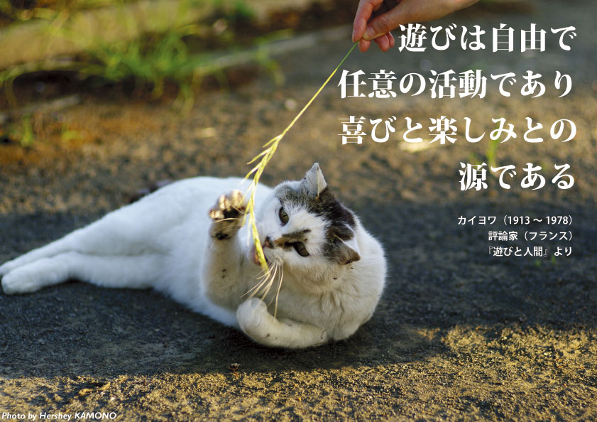 92260EB9-90B7-47EB-A6D9-6F92BC4AD1A0