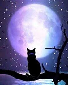 D681D8D6-2E23-45B0-9146-7FFE745C5FAC