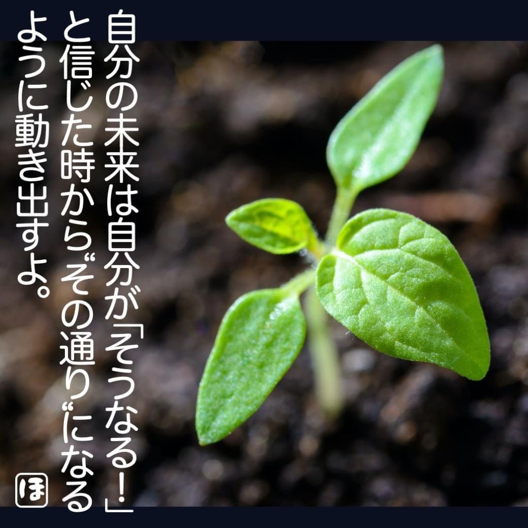 F2FA1057-77D6-4C72-9F5C-900661E2C2A3