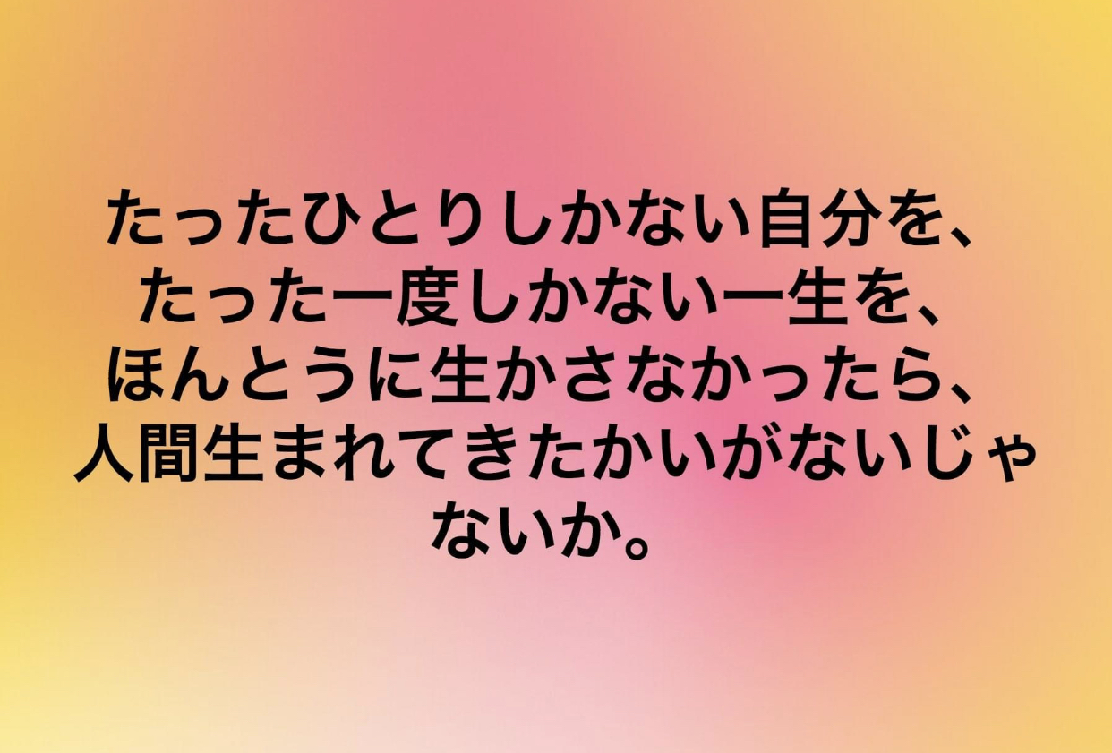 01C2B53C-796D-47A4-A5DF-987EA56470FB