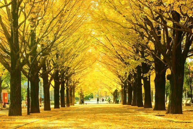 60469FB3-A1B0-4F9A-A740-DB50C1112693