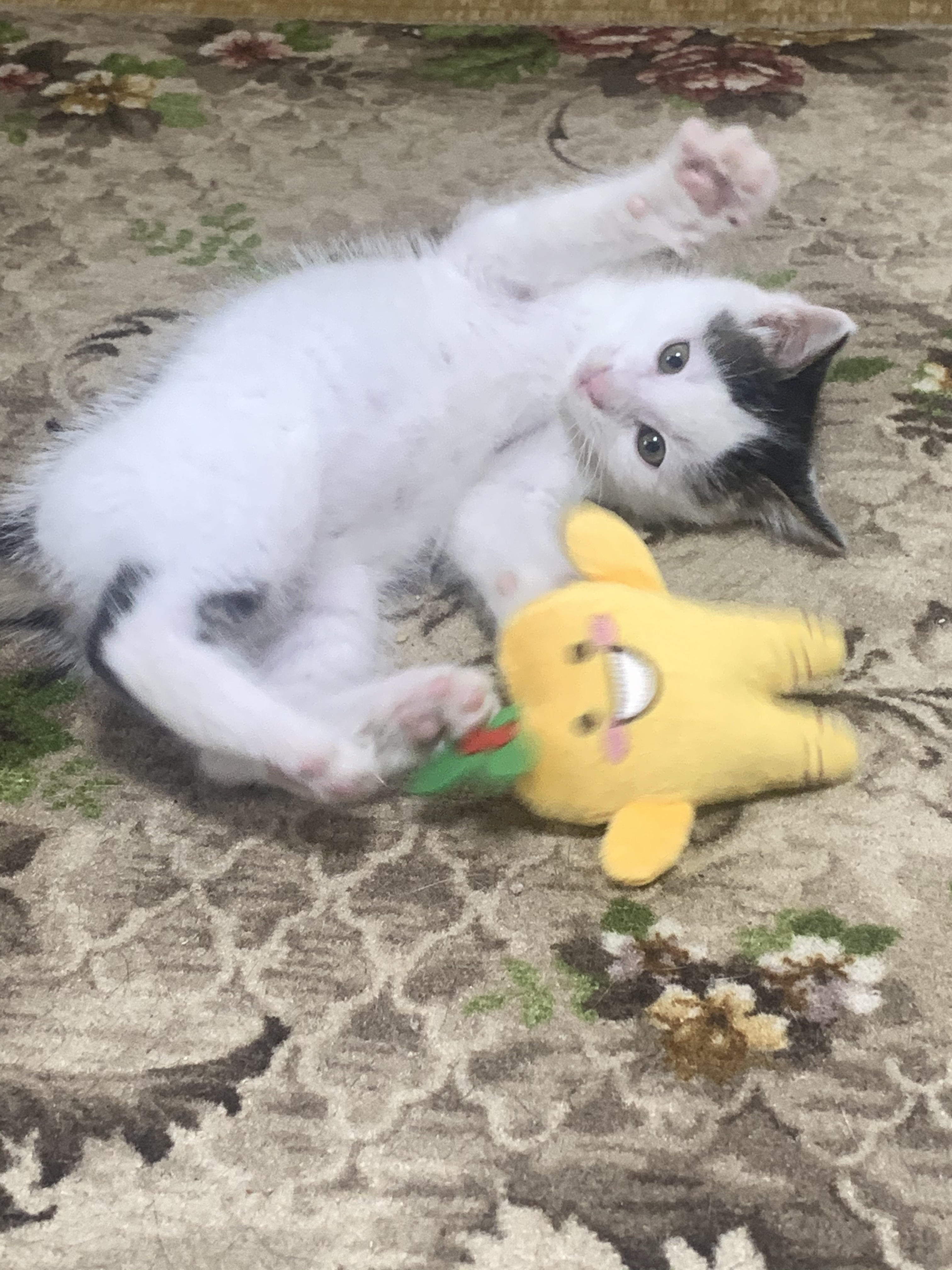 90D1483F-3167-4641-9FB5-0E2FE057A2F3