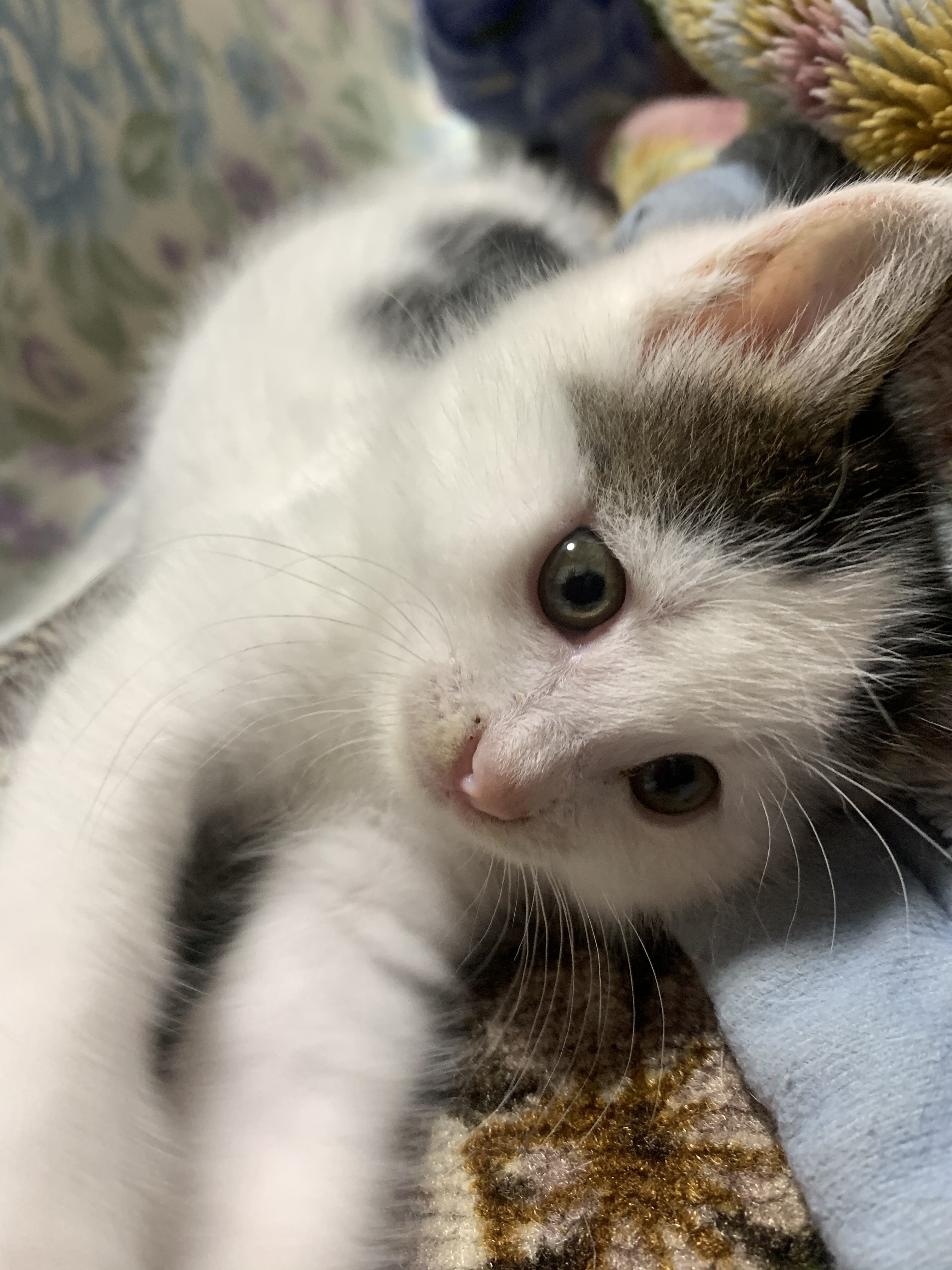 B25A7E8F-232E-4D8B-8252-7C259C2F2B52