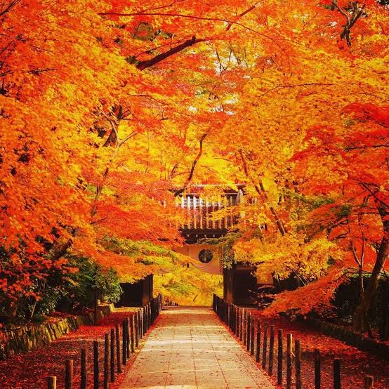 118D9CC4-6C68-466D-BE57-F628E720AC3B