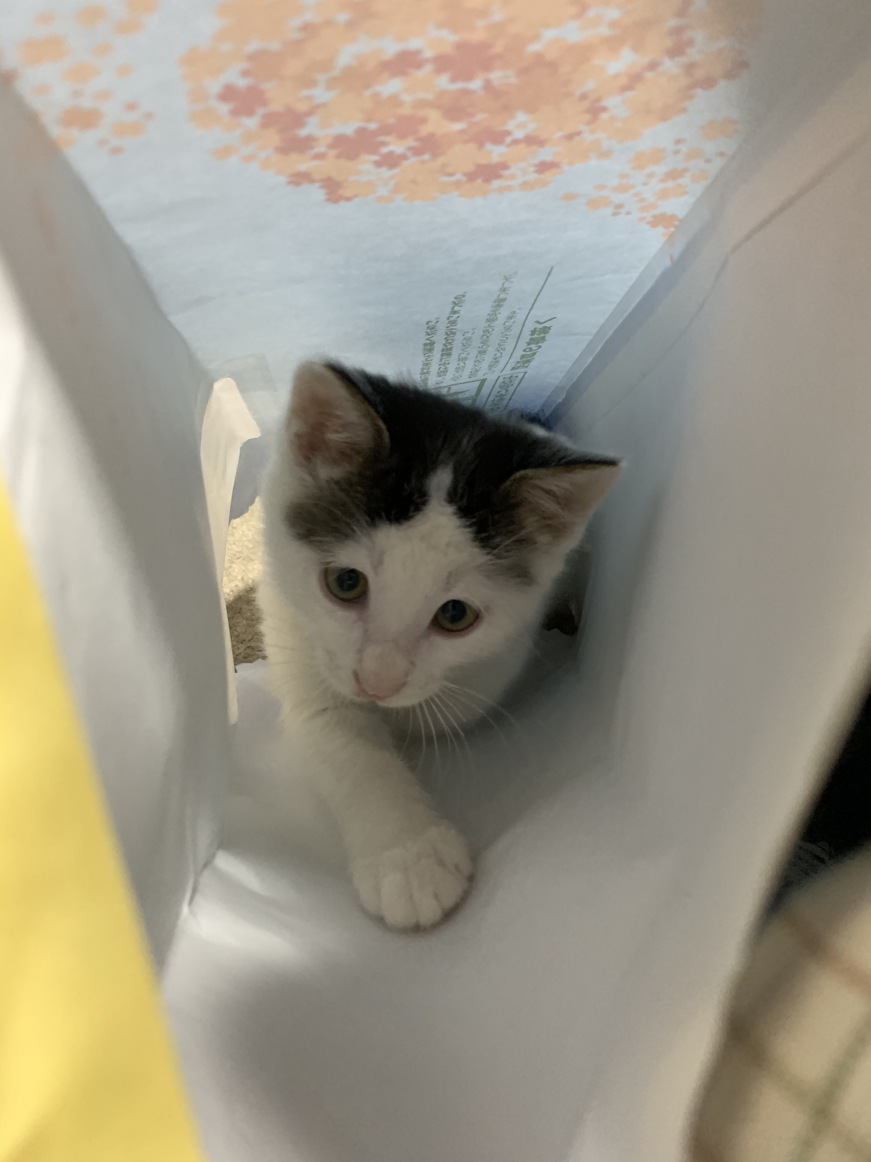 1951C93C-3B8A-420F-9BBA-F9BF73BA3CE8