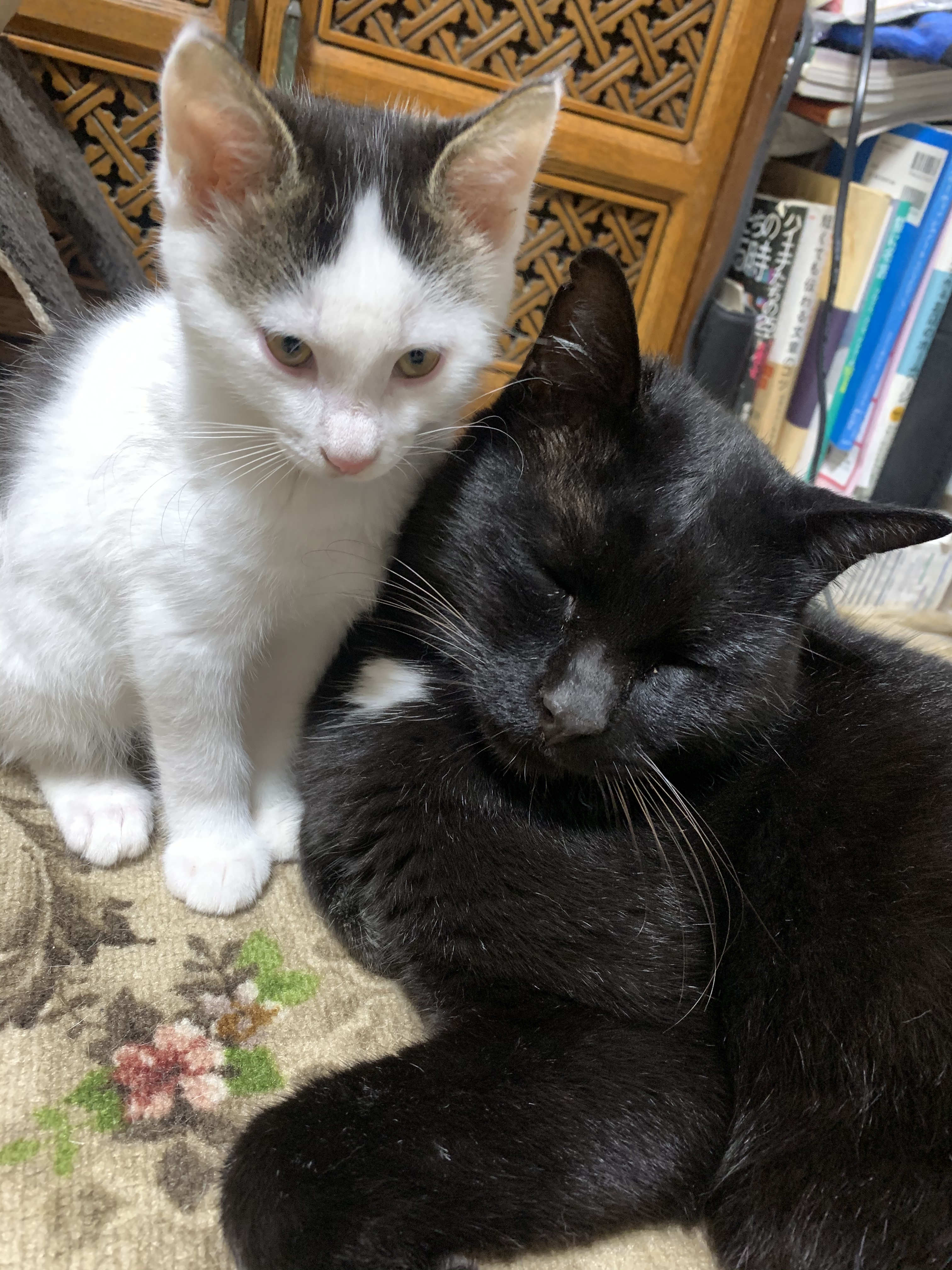 2083E13F-0B9E-4A24-BCCF-4F25F0C546EA