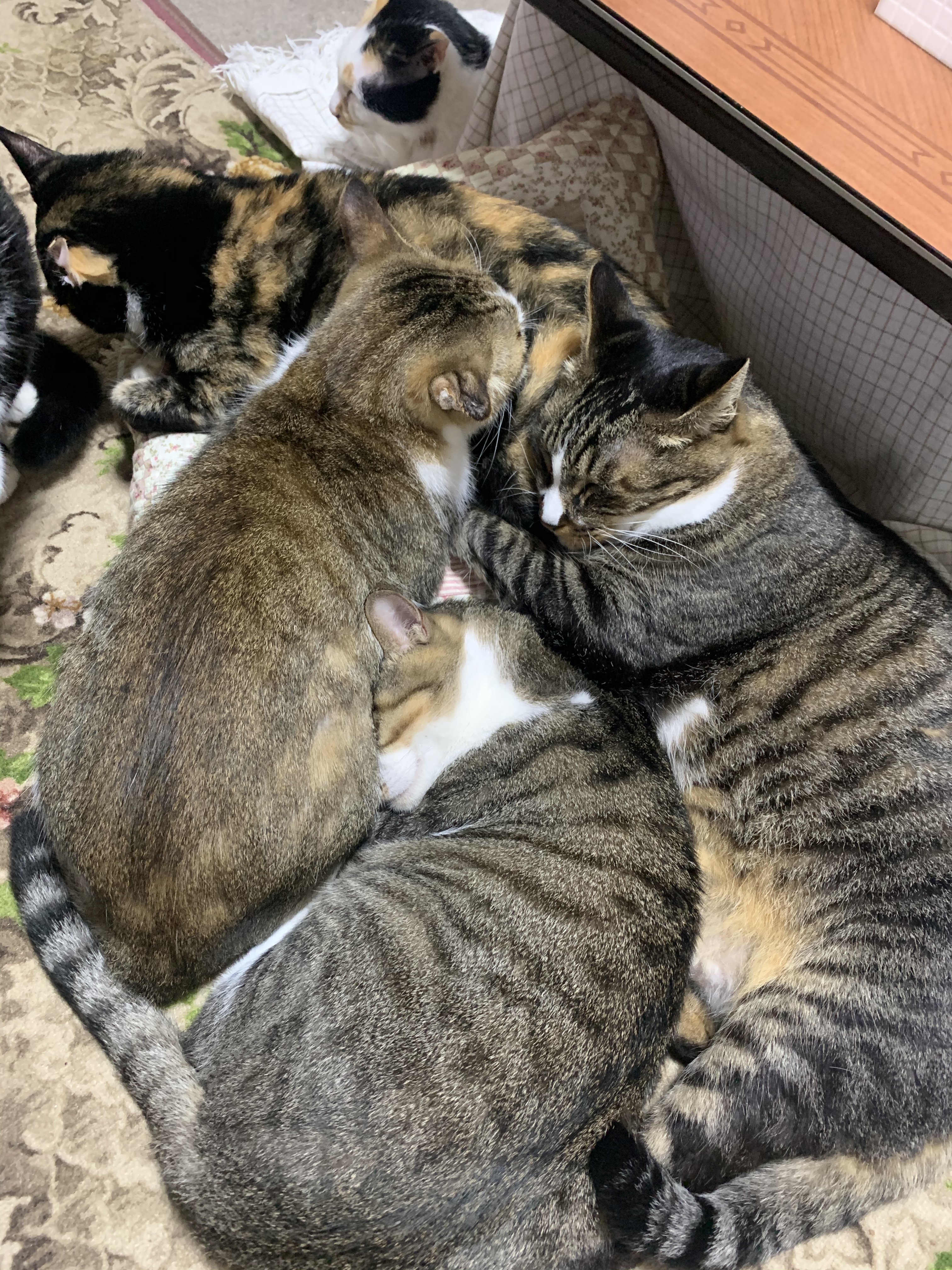 29D2856C-286B-4122-B1D7-3B0E25744C58