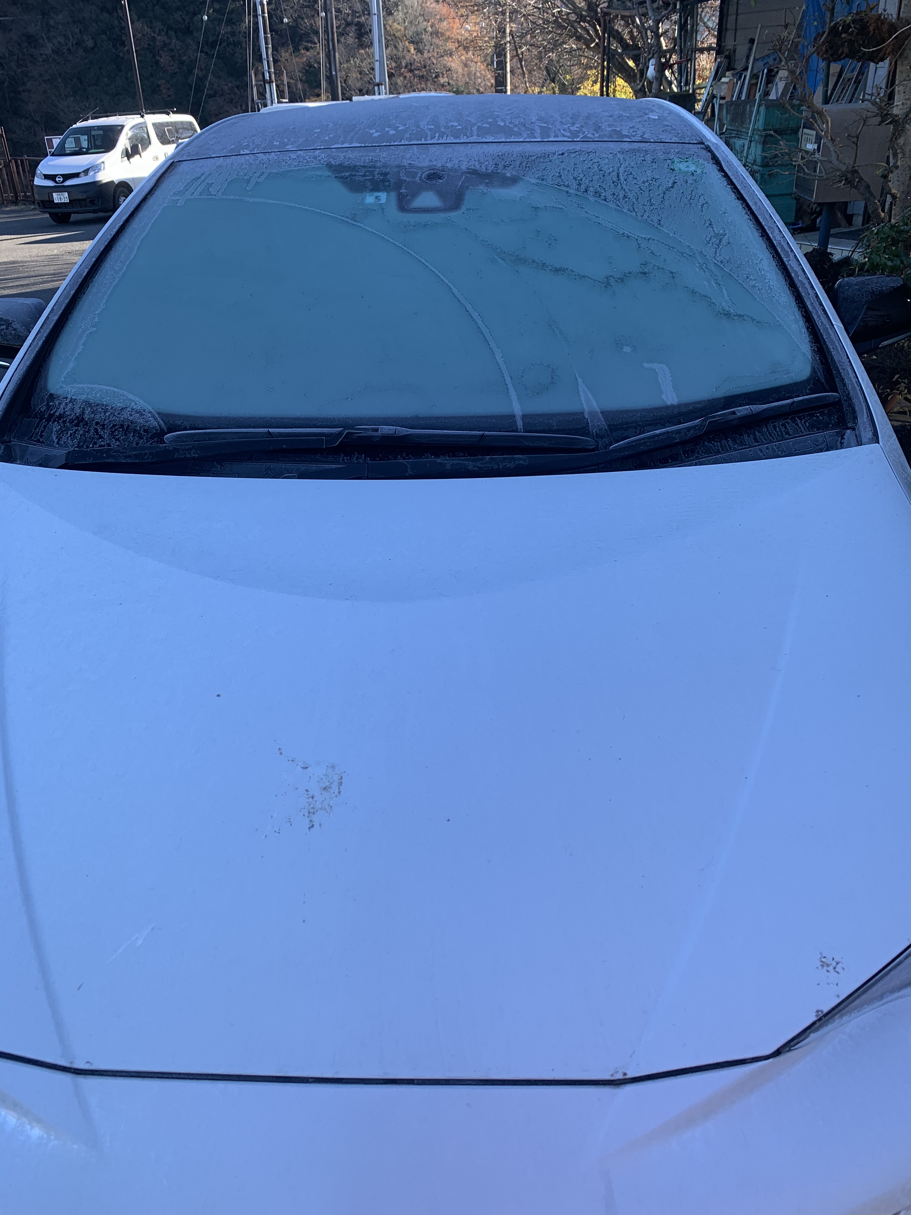 8BE3151D-FF0C-4795-98E8-46FA3F8E998B