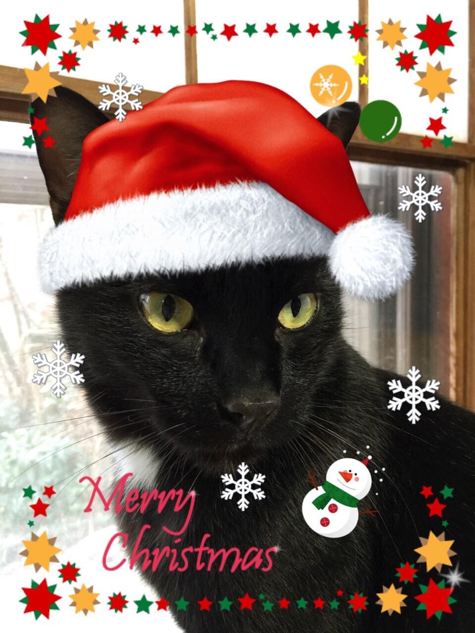 8BFE86EE-FDEE-4207-8F4B-31709E38B5DD