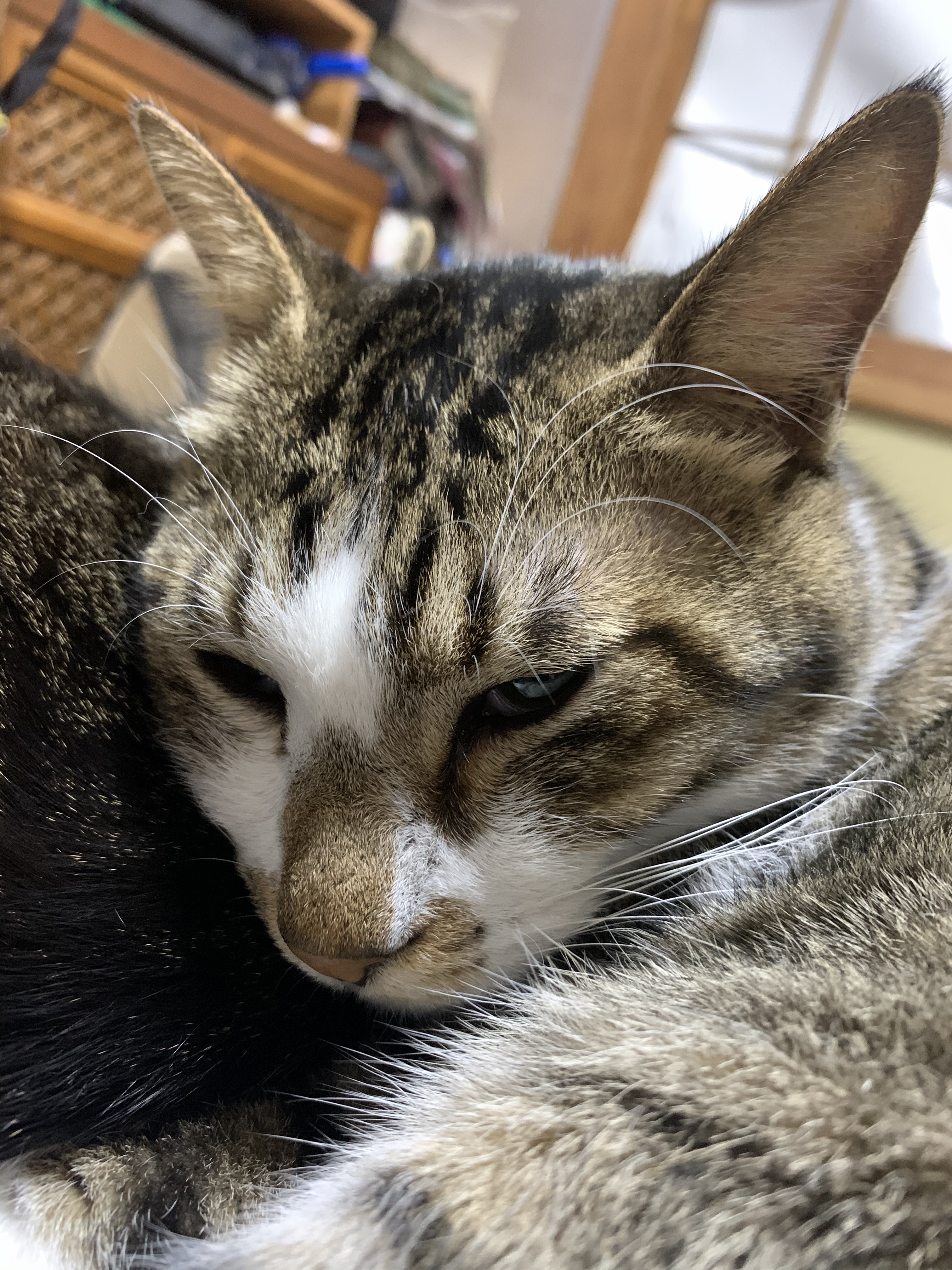 C28FF723-5551-4347-B024-04D2AFAEB288