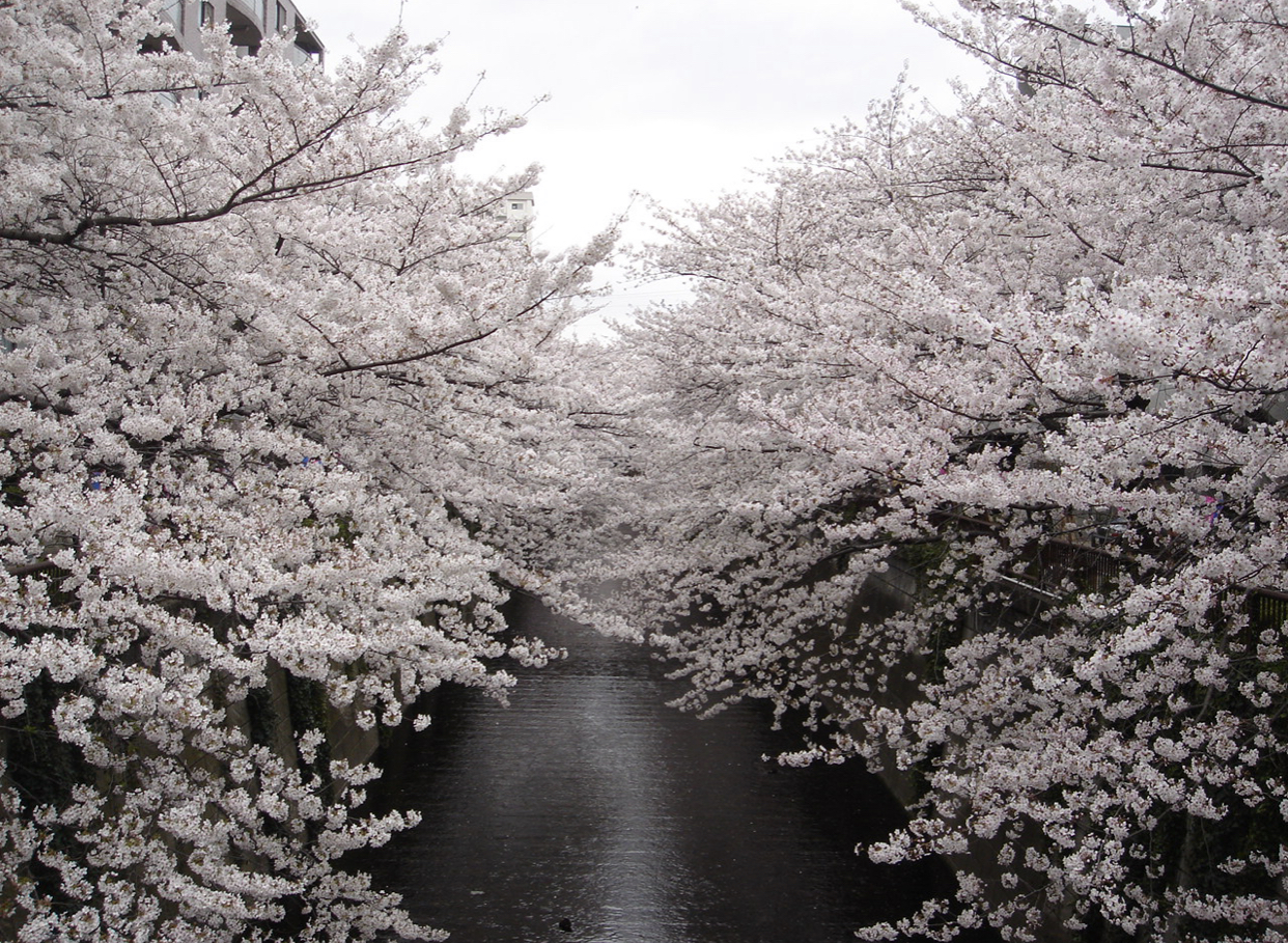 0E2CF8E5-911C-480C-A04C-1110ABC09DE8