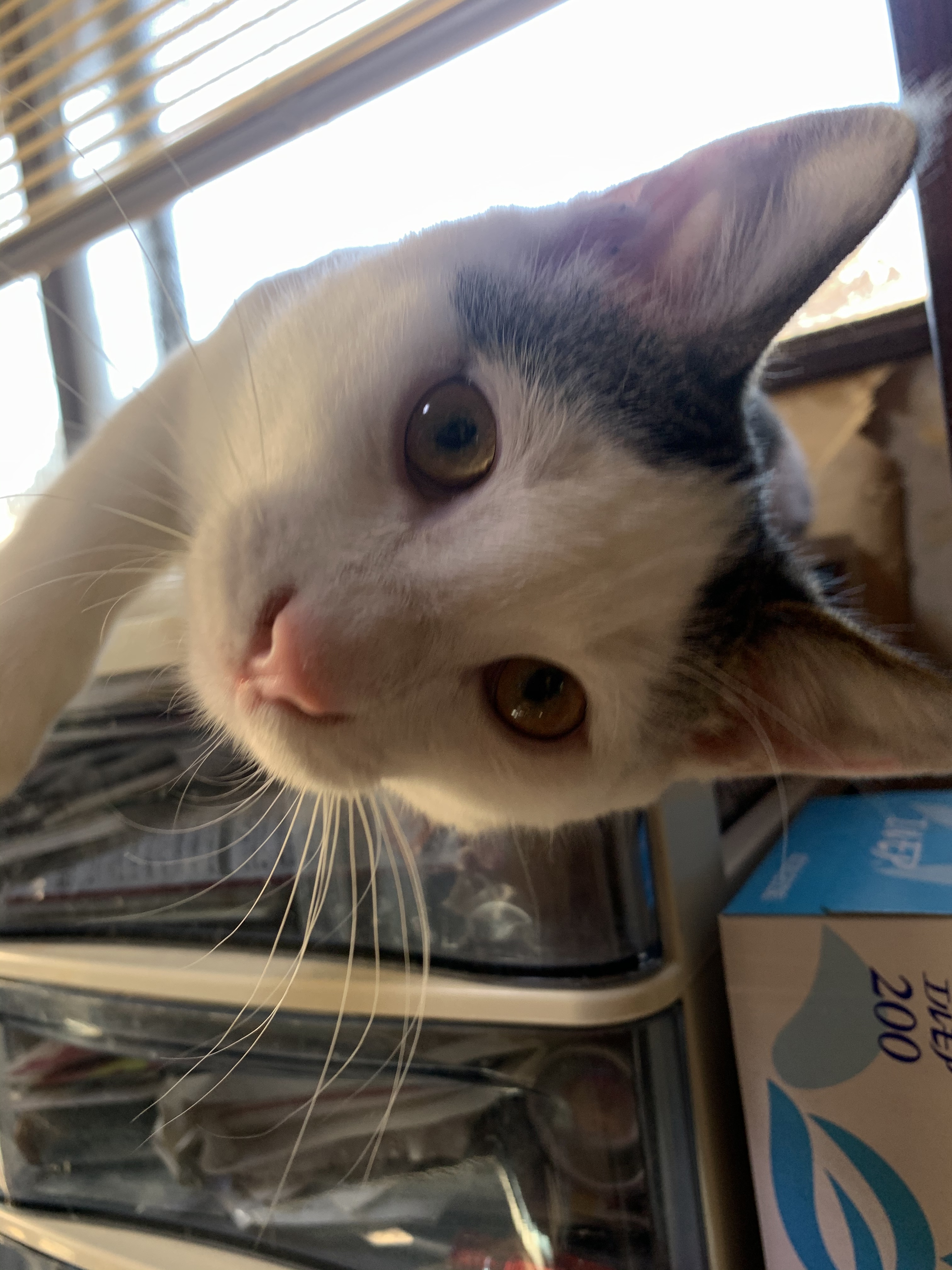 364FED70-58EA-4F06-9FEB-B2B3522A3A11