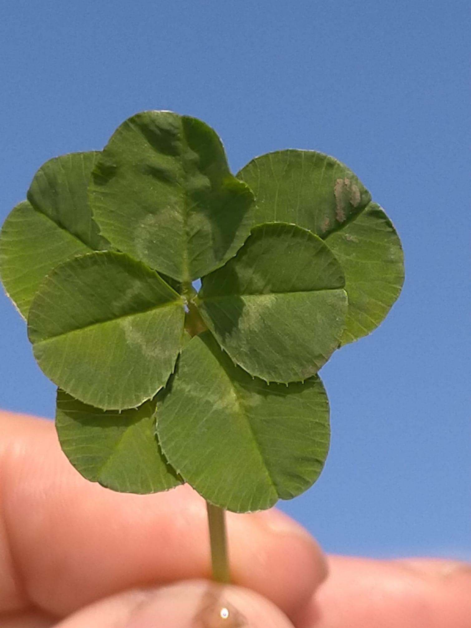 484C4692-1B41-42F8-B132-E39816C40CDC