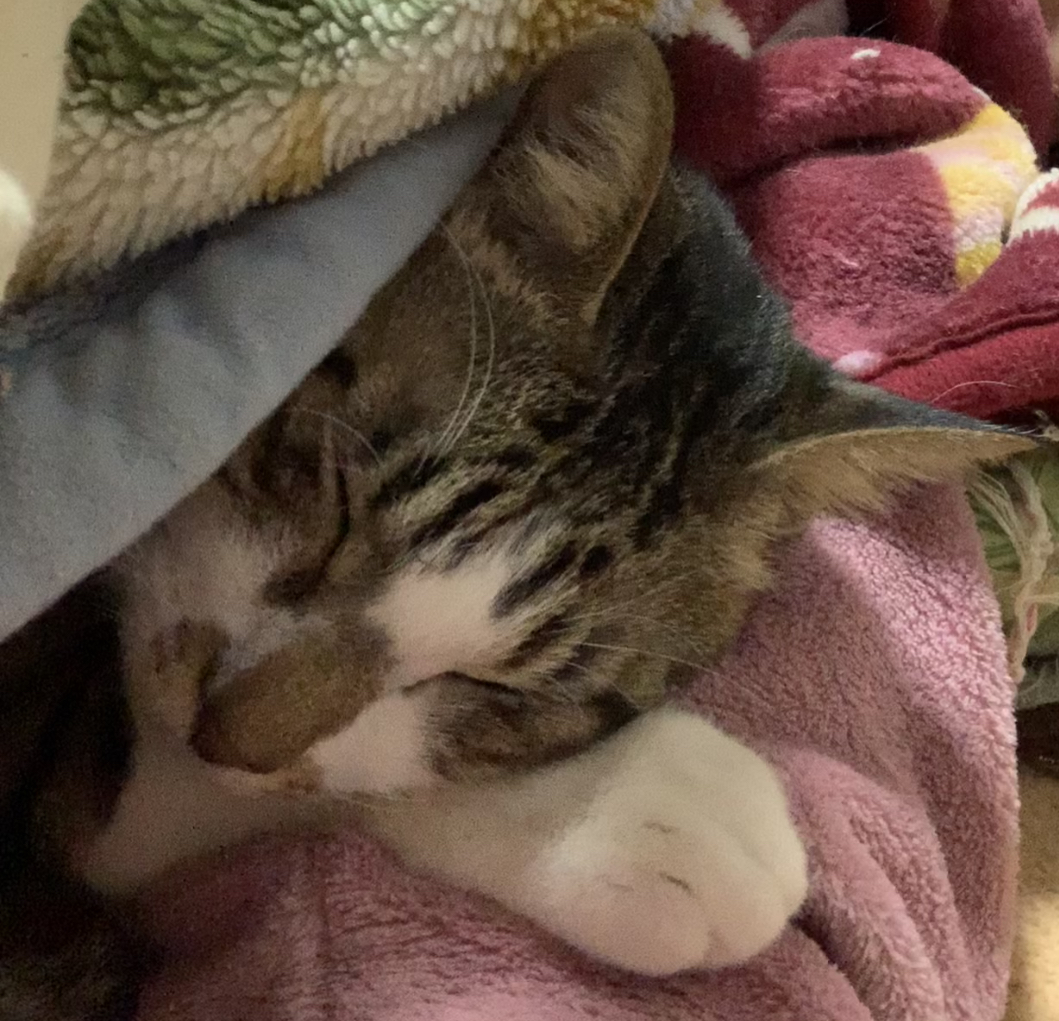 5175FB7B-9F1E-4A68-931F-C64C9AF5C072