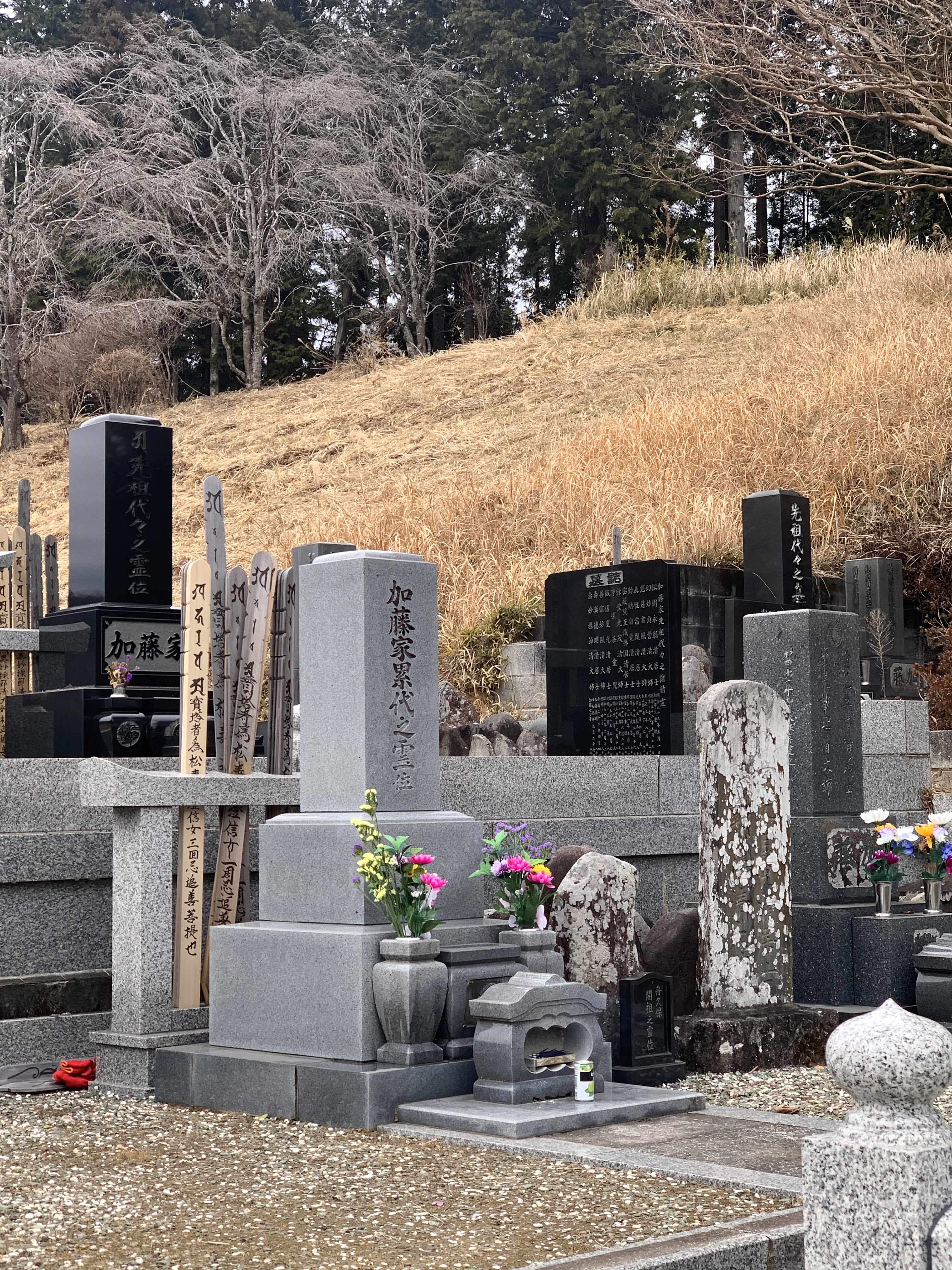 6A50929B-A1BC-4719-80E8-F7966AA93C0F