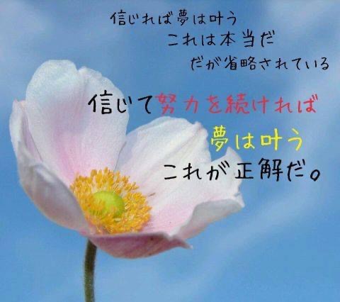 EC8AF033-BC8F-4697-BD77-72C6F460F925