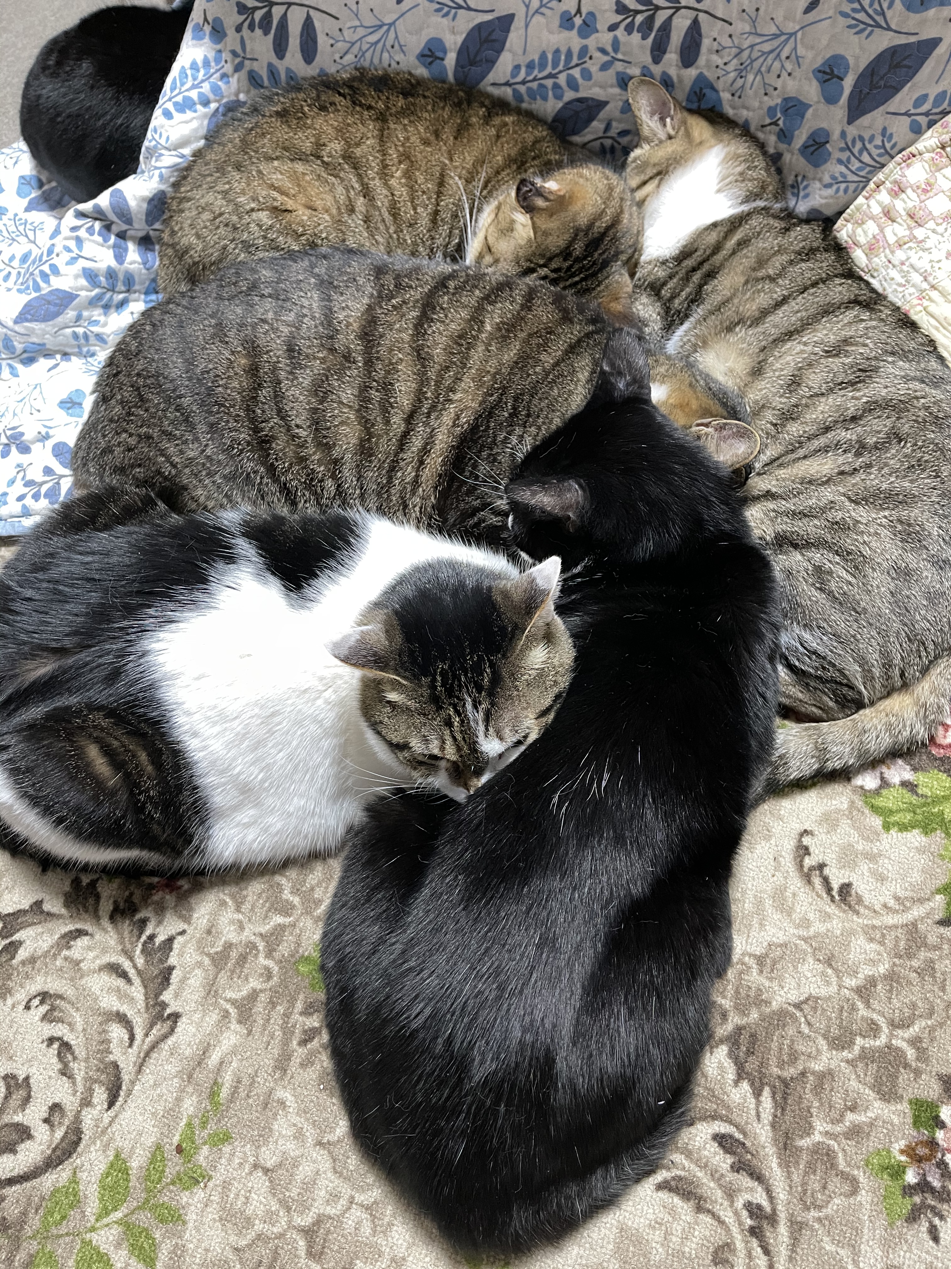 0A709093-7CC3-4ED8-A8AC-405F6FDC2AC5