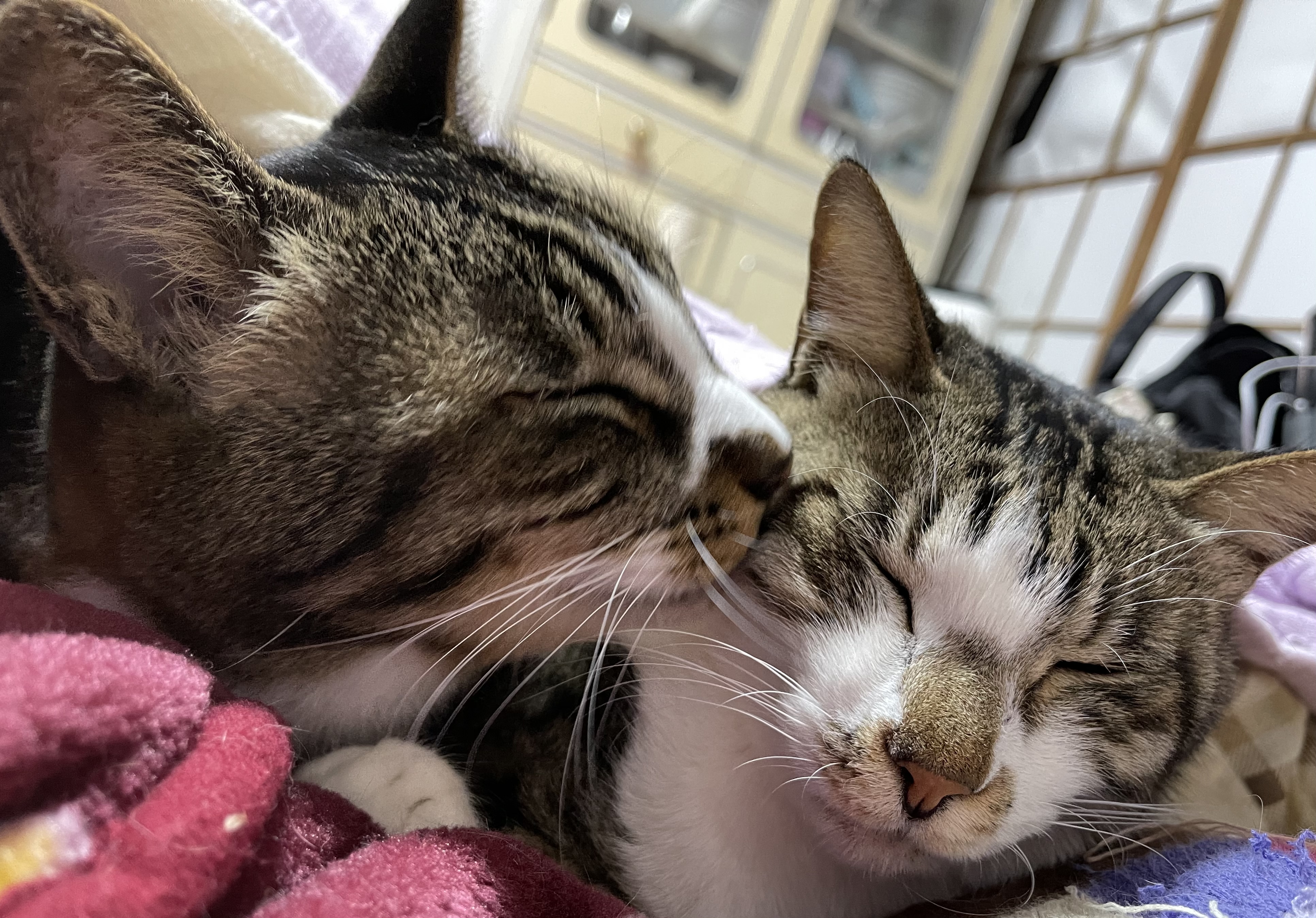 0B1AA43A-F2F3-4835-8A0E-15425255D5CF