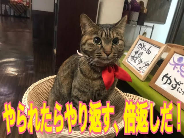 27160AE4-C0F2-4A1E-B2A8-71A697017C01