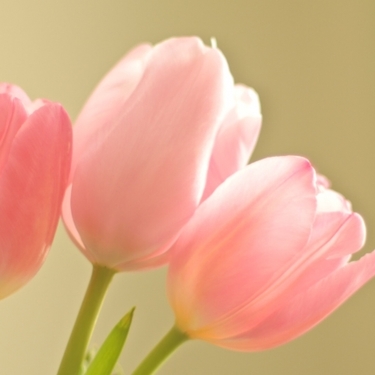 793772CC-5FC8-454E-95DD-241EFB1D1DE6