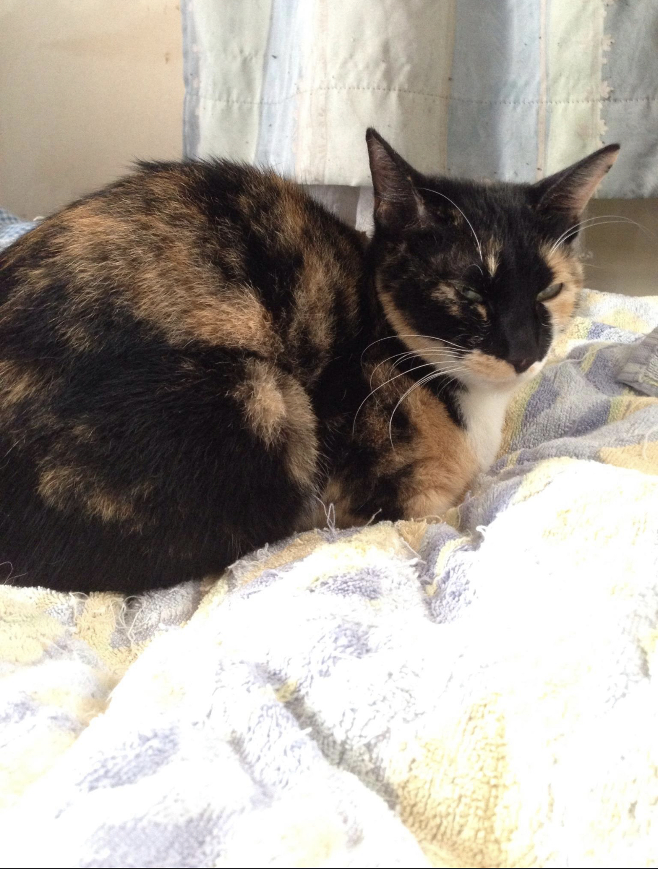 BD8E8568-CC61-4245-8CB8-BA5170EA65D9