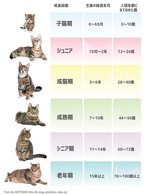 F3F67C0D-B0E5-48F6-9C5A-654372F8F26E