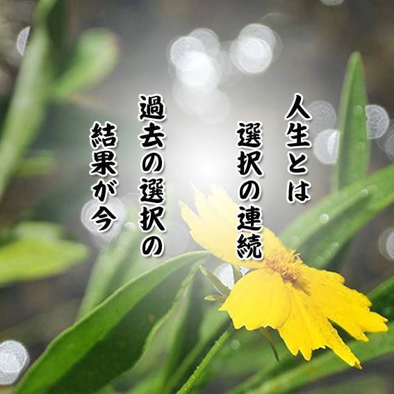 1B910EEE-908D-4443-950D-AB5DFA9704DB